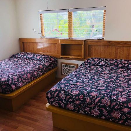 Ebb Tide Motel เซนต์พีทบีช ภายนอก รูปภาพ